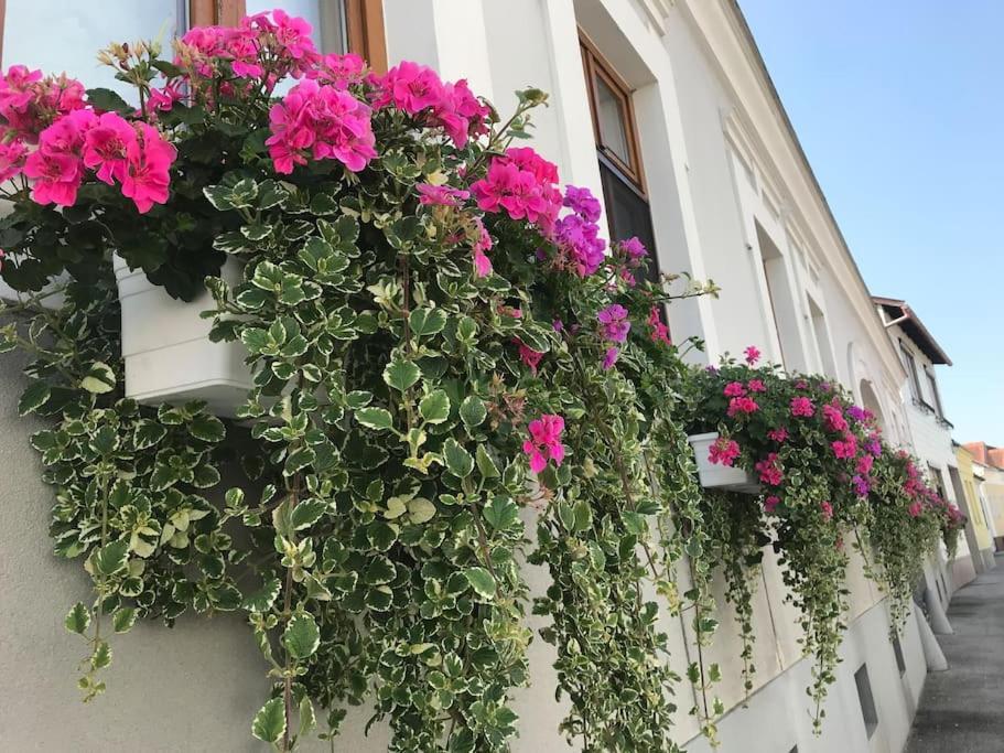 Apartament Charmantes Pottelsdorf